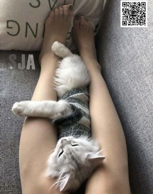 欧美日韩国产精品一区二区_DVD最新电影在线观看